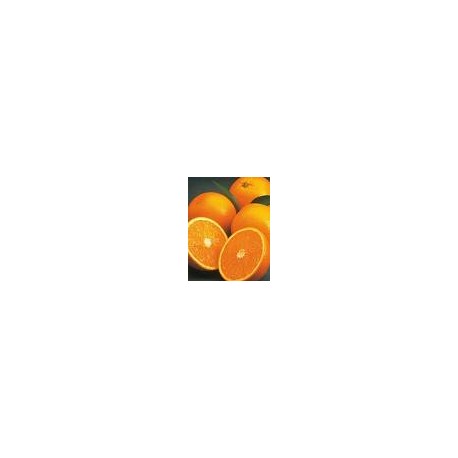 Naranjas para Chupar. Unidad.