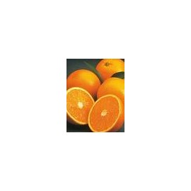 Naranjas para Fresco. Unidad.