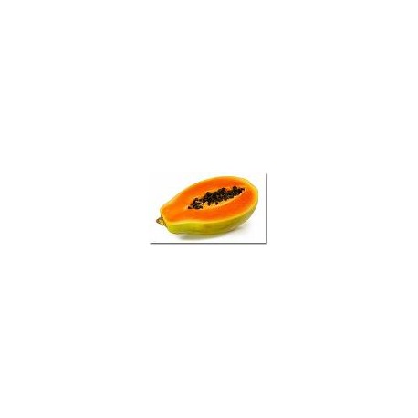 Papaya. Small to Medium. 1 Count.