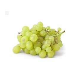 Green Grapes. 1 Lb.