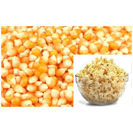 Popcorn Corn. Pound.