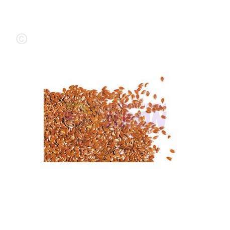 Linseed. 1 lb.