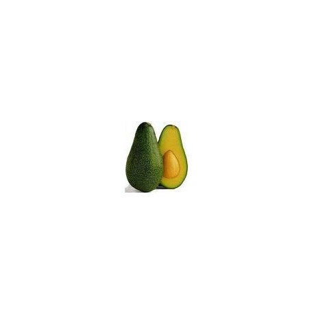 Avocado. 1 Count.