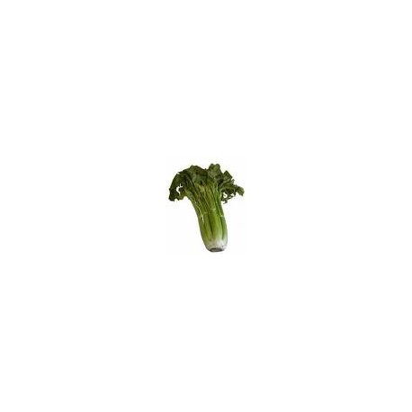 Celery Bunch.