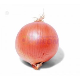 Onion. 1 Lb.