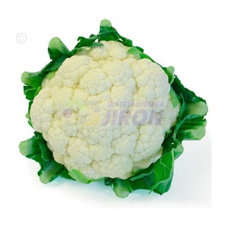 Cauliflower. 1 Count.