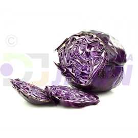 Purple Cabbage. One Count.