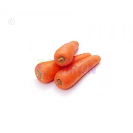 Carrot. 1 Count.