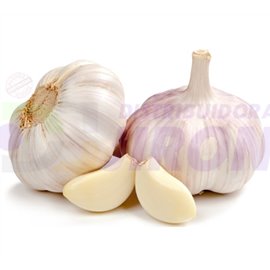 Garlic. 1 Count.